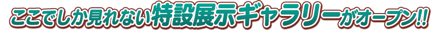 ここでしか見れない特設展示ギャラリーがオープン!!