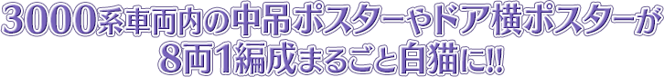 3000系車両内の中吊ポスターやドア横ポスターが8両1編成まるごと白猫に!!