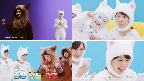 CMカット