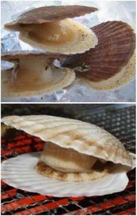 北勝水産 商品