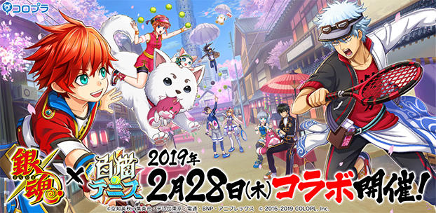 TVアニメ『銀魂』と『白猫テニス』のコラボを2/28(木)より開催!「銀魂コラボ記念★5フェスガチャ」のチケットが最大10枚貰えるTwitterキャンペーンも実施!