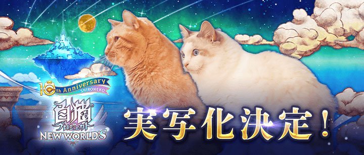 『白猫プロジェクト NEW WORLD'S』10周年イヤーを記念してついに実写化が決定！！ ティザービジュアルを初公開！