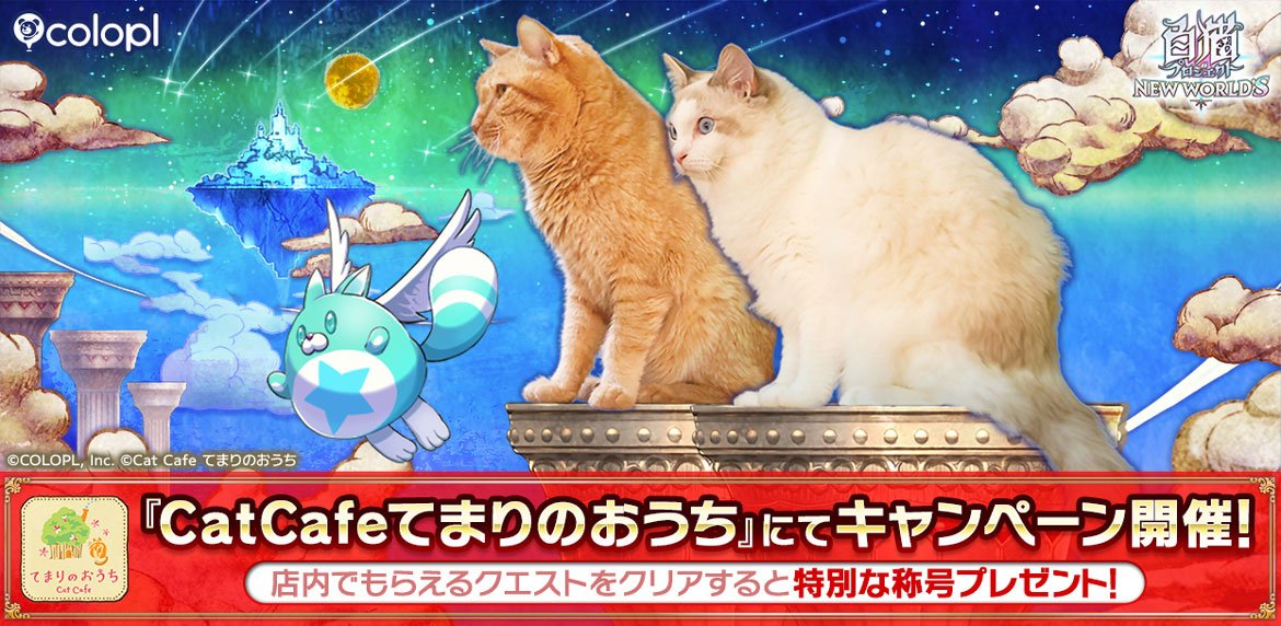 『白猫プロジェクト NEW WORLD'S』実写化中止のお詫び 出演したネコが所属する『CatCafeてまりのおうち』にてキャンペーン開催！