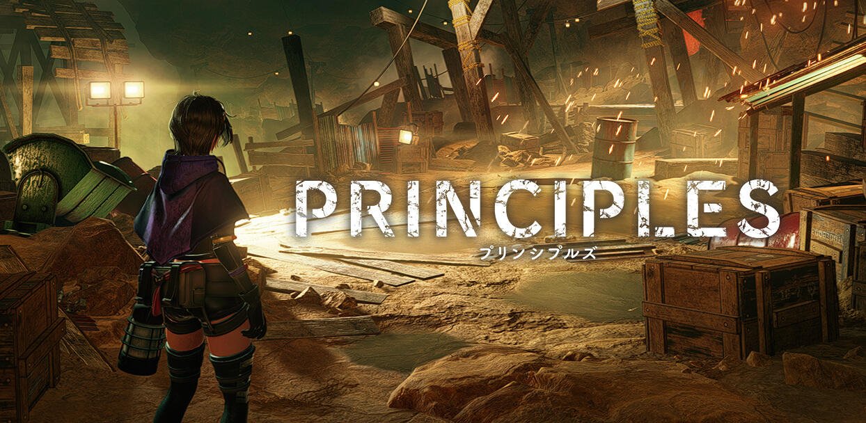 PRINCIPLES