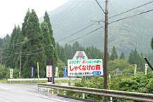 006_syakunage_02_01.jpg