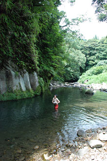 006_syakunage_07_03.jpg