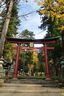 126_sugiharasyouten_07.jpg