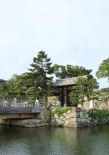 153_koudera_06.jpg