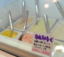 205_yabumoto_07.jpg
