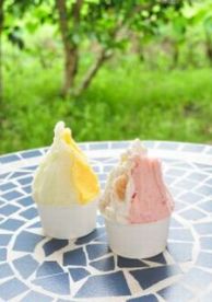 藤桃庵のジェラート
