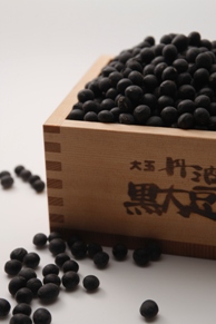 篠山 小田垣商店の黒豆