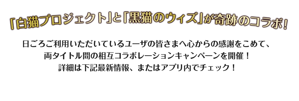 「白猫プロジェクト」と「黒猫のウィズ」が奇跡のコラボ！日ごろご利用いただいているユーザの皆さまへ心からの感謝をこめて、両タイトル間の相互コラボレーションキャンペーンを開催！詳細は下記最新情報、またはアプリ内でチェック！