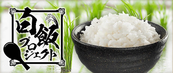 白飯プロジェクト