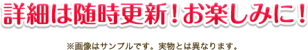 詳細は随時更新！お楽しみに！ ※画像はサンプルです。実物とは異なります。